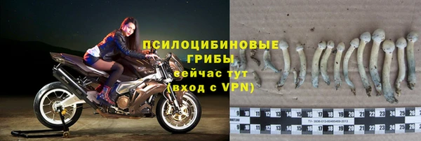 герыч Алексин