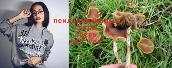 герыч Алексин