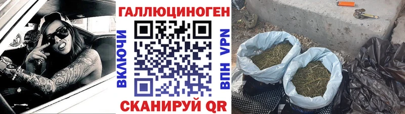 Псилоцибиновые грибы Cubensis  Никольск 